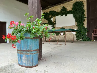 Penzion U Roušarů - Stolní tenis